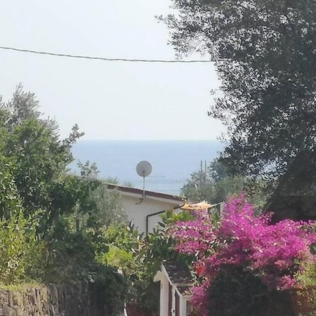 Villa Cilento Mare, Bellissima Con Ampio Giardino Capitello Extérieur photo