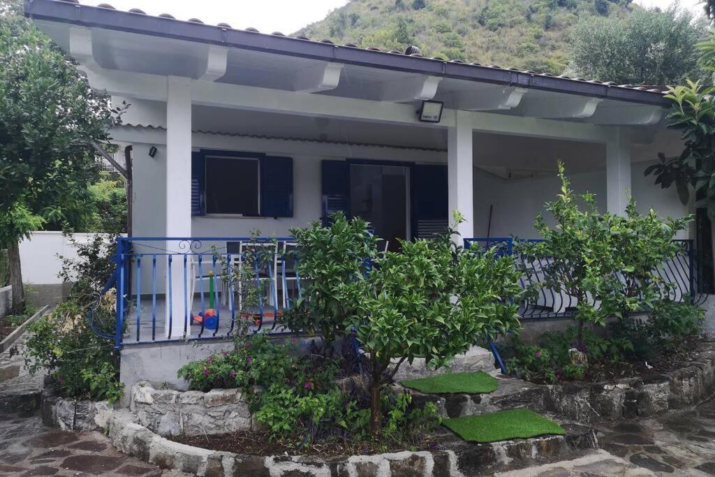 Villa Cilento Mare, Bellissima Con Ampio Giardino Capitello Extérieur photo